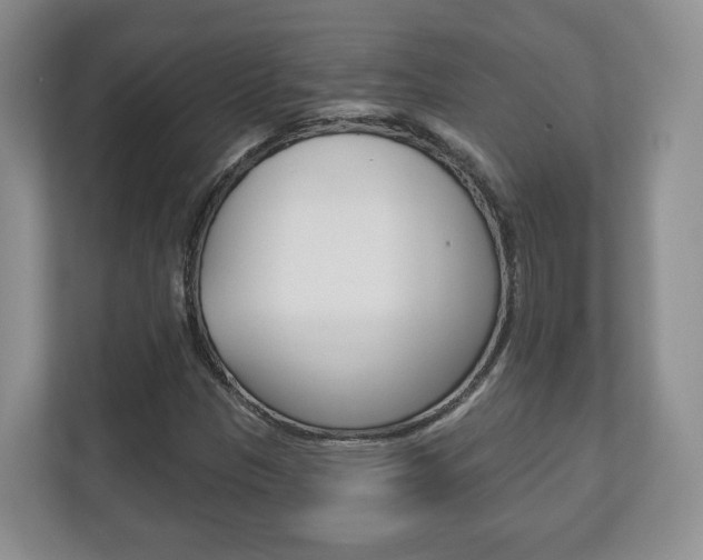X0000113181305200909040946