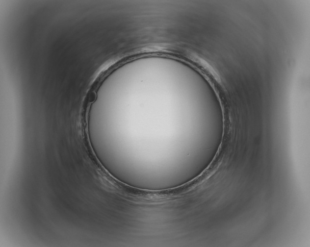X0000113181308200909040946