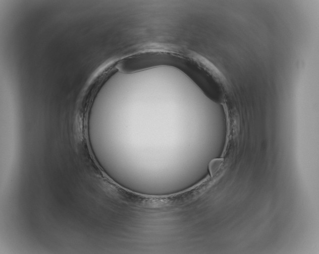 X0000113181310200909040946