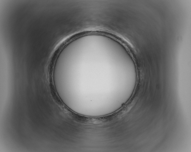 X0000113181311200909040946