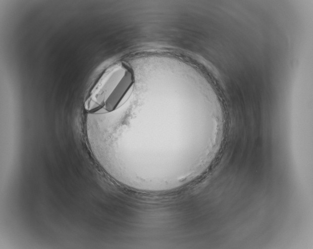 X0000113181314200909040946