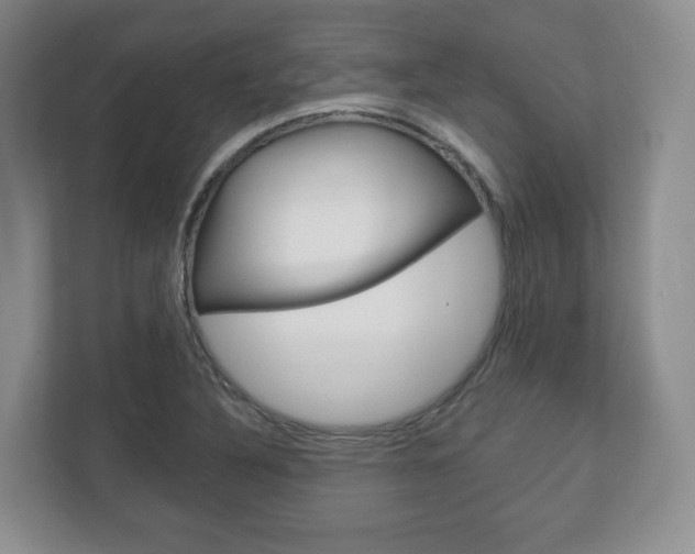 X0000113181316200909040946