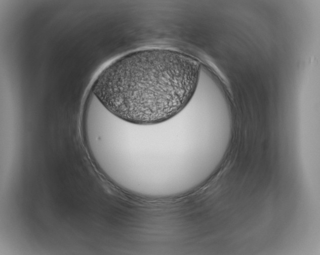 X0000113181320200909040946
