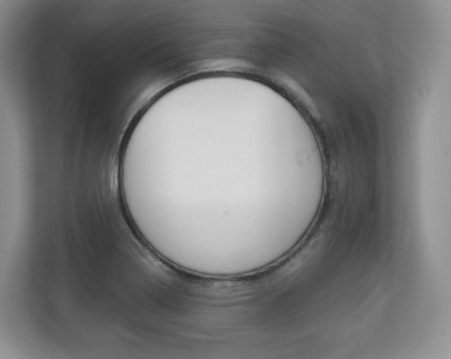 X0000113181322200909040946