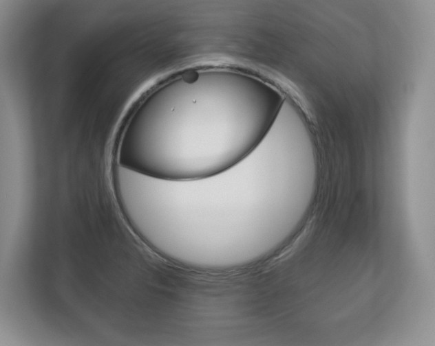X0000113181326200909040946