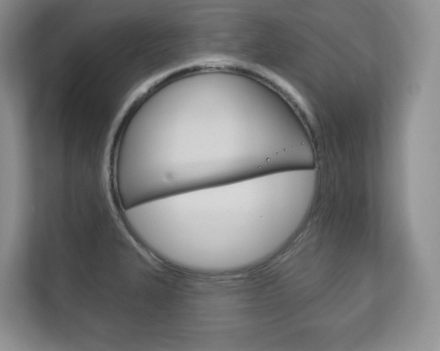 X0000113181327200909040946