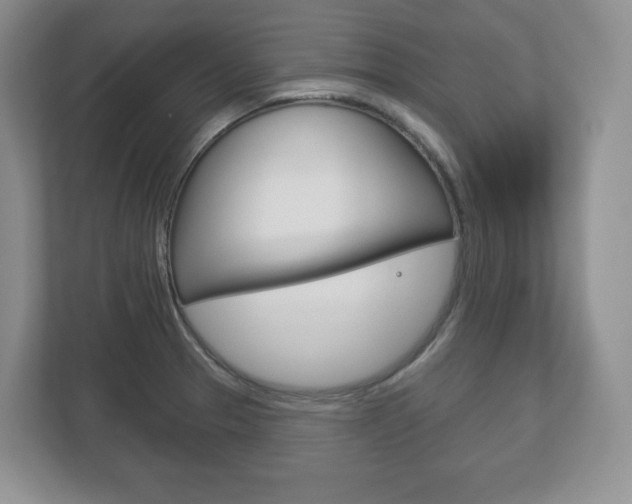 X0000113181329200909040946
