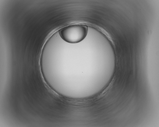 X0000113181330200909040946