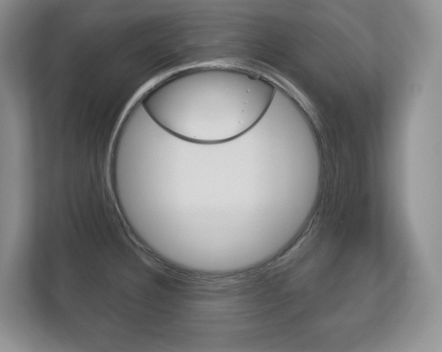 X0000113181332200909040946