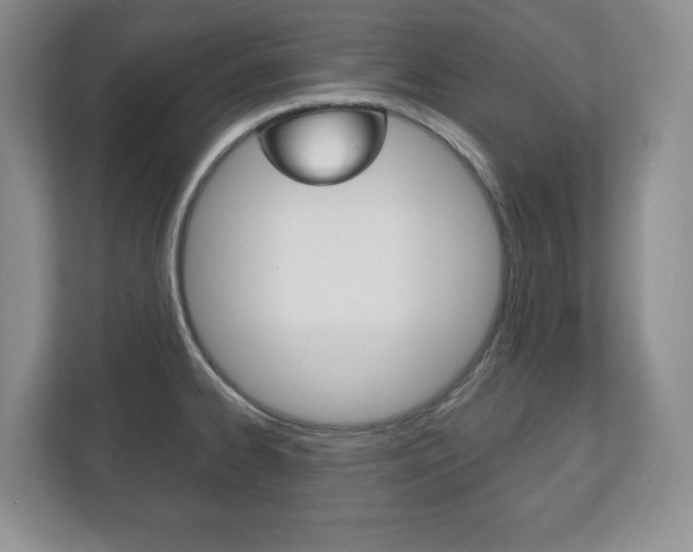 X0000113181334200909040946