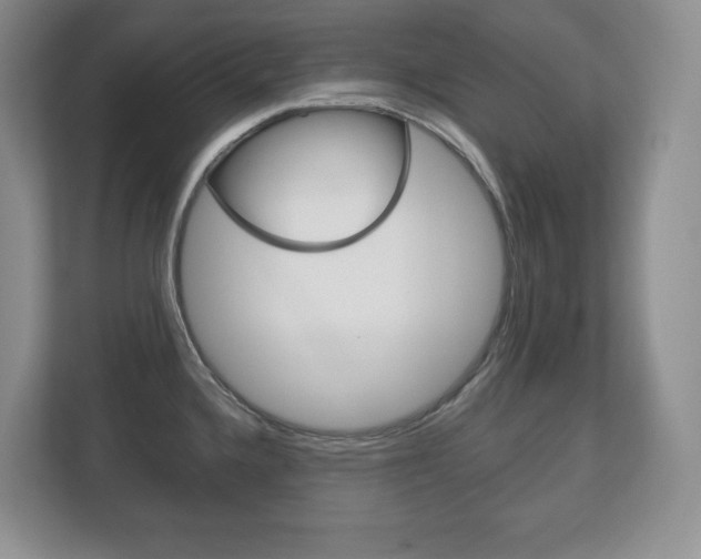 X0000113181336200909040946