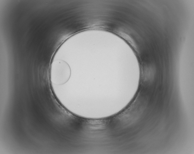 X0000113181338200909040946