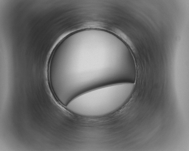 X0000113181339200909040946