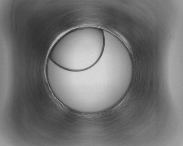 X0000113181340200909040946