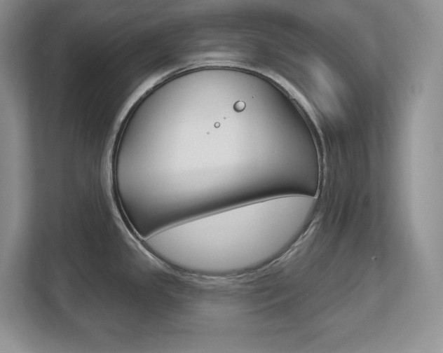 X0000113181341200909040946