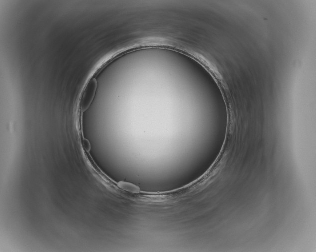 X0000113181342200909040946