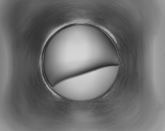 X0000113181343200909040946