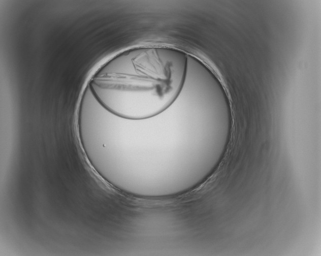 X0000113181344200909040946