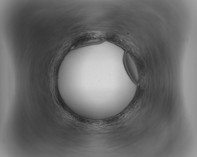 X0000113181345200909040946