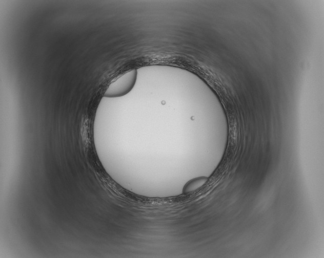 X0000113181346200909040946