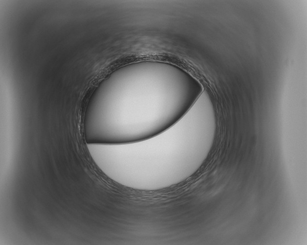 X0000113181348200909040946