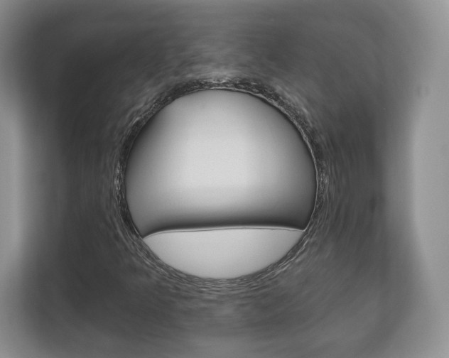 X0000113181349200909040946