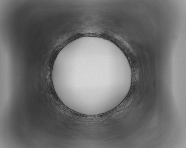 X0000113181350200909040946
