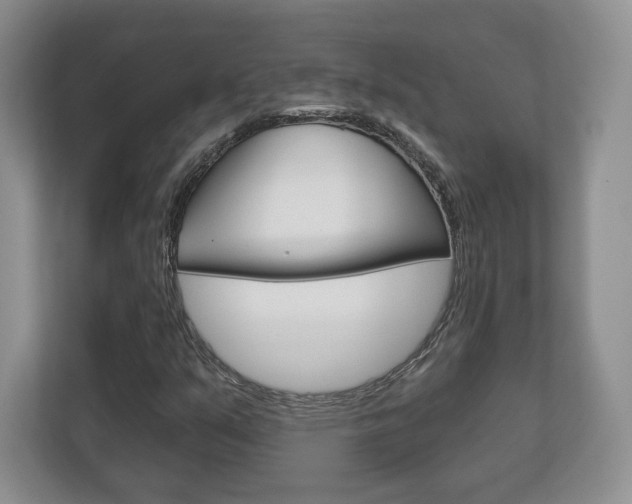 X0000113181351200909040946