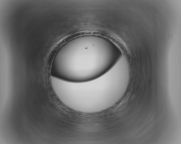 X0000113181352200909040946