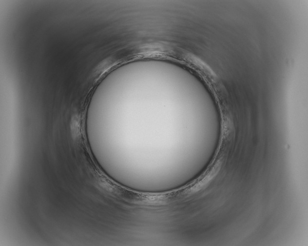 X0000113181353200909040946