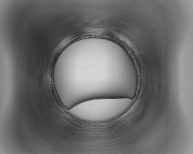 X0000113181354200909040946