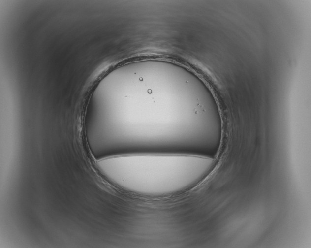 X0000113181355200909040945