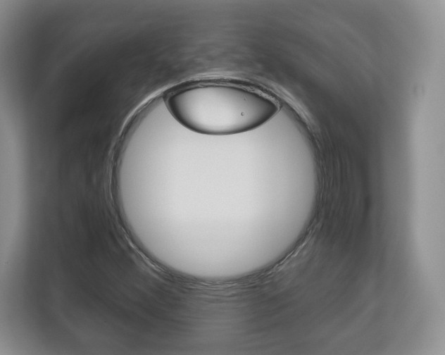 X0000113181356200909040945