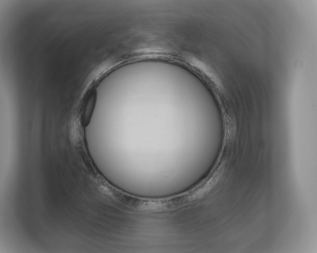 X0000113181357200909040945