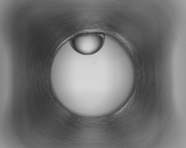 X0000113181361200909040945