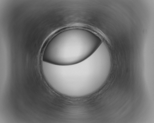 X0000113181364200909040945