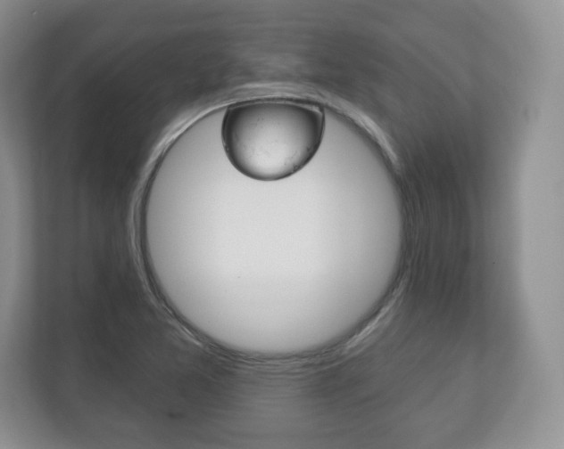 X0000113181365200909040945