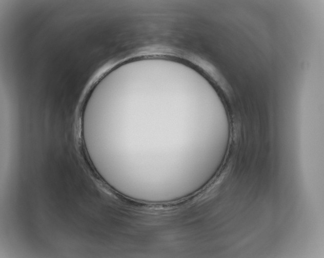 X0000113181366200909040945