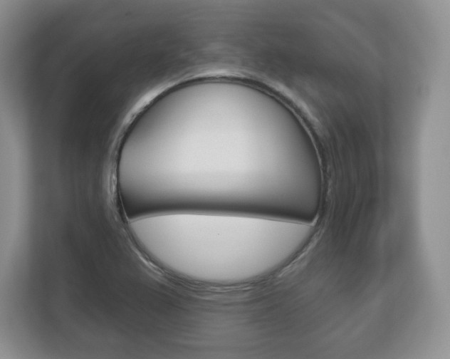 X0000113181367200909040945
