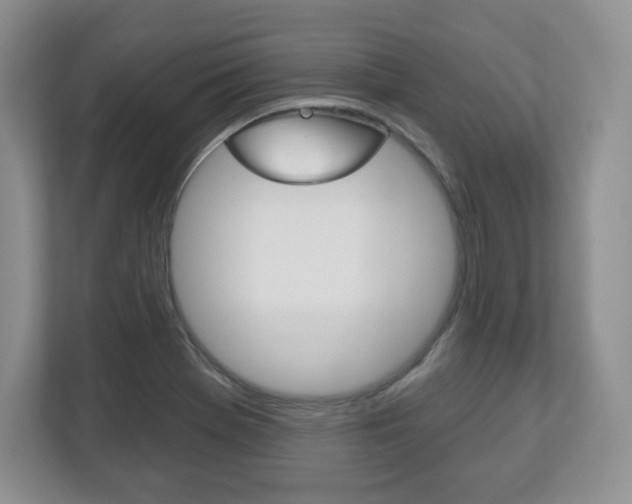 X0000113181369200909040945