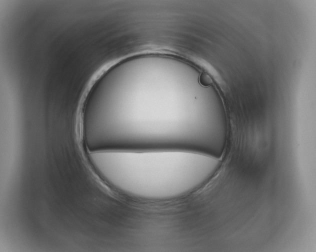 X0000113181371200909040945
