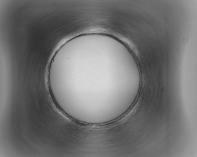X0000113181374200909040945