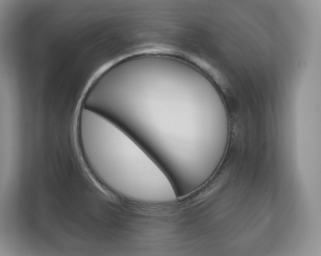 X0000113181375200909040945
