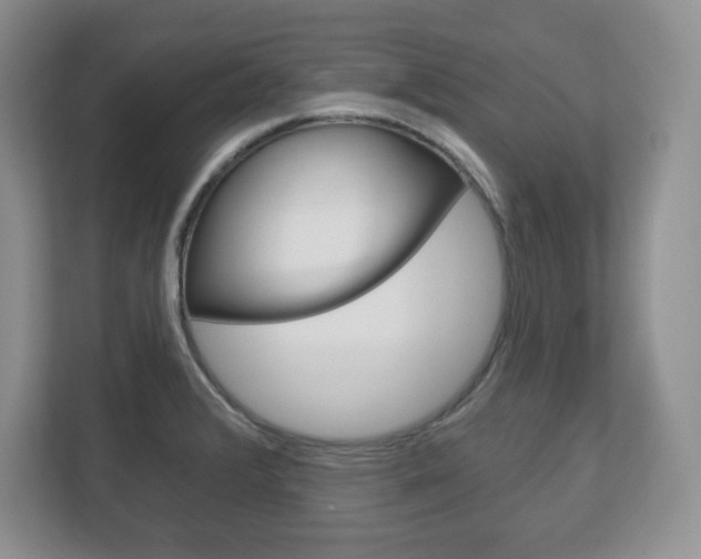 X0000113181376200909040945