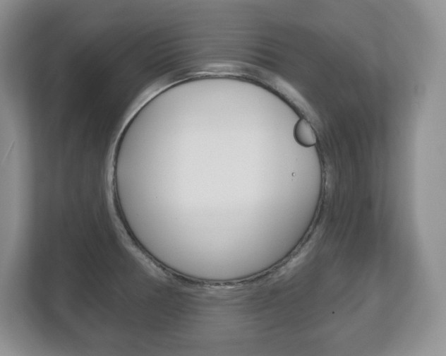 X0000113181378200909040945