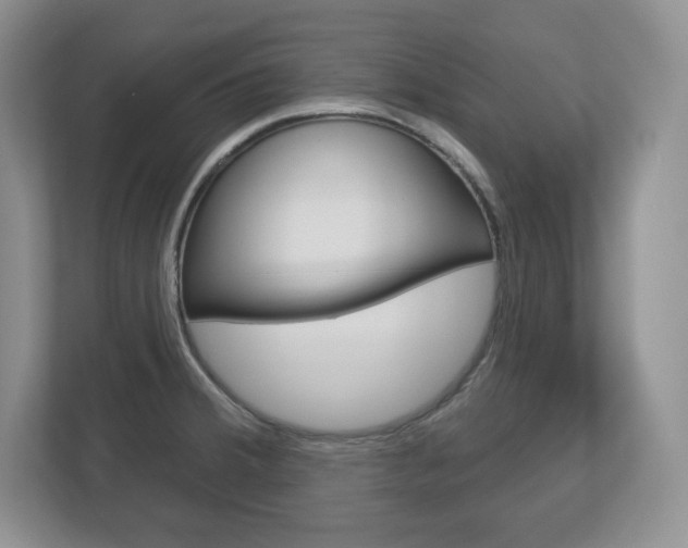 X0000113181380200909040945