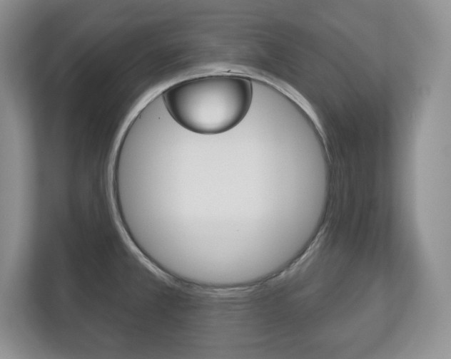 X0000113181381200909040945