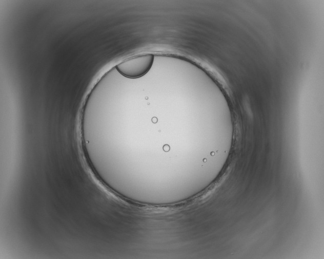 X0000113181382200909040945