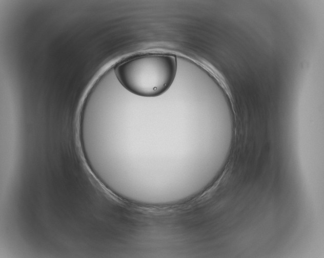 X0000113181384200909040945