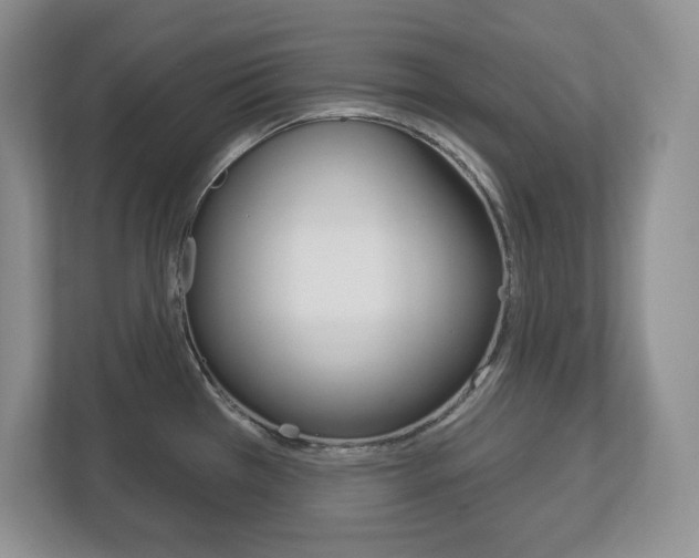 X0000113181385200909040945